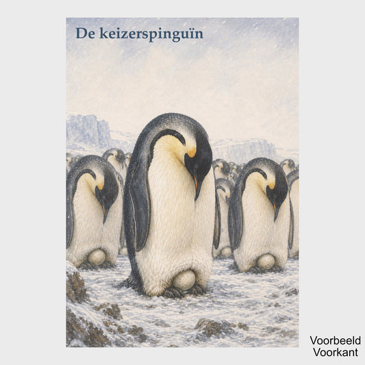 Wachtkamerkaarten Wachten – 40 natuurverhalen
